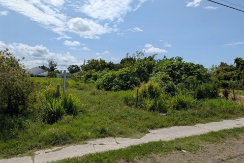 Terreno en venta en Tampa, Florida № 1767187 - foto 2