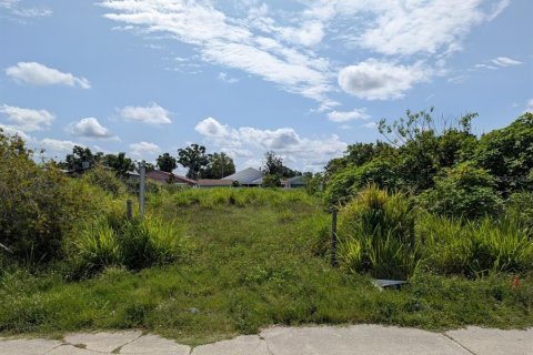 Terreno en venta en Tampa, Florida № 1767187 - foto 1