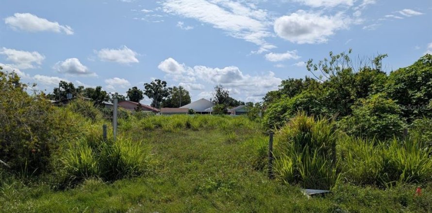 Terreno en Tampa, Florida № 1767187