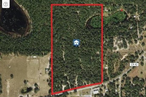 Terrain à Umatilla, Floride № 2239231