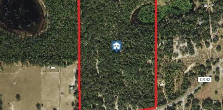 Terrain à Umatilla, Floride № 2239231