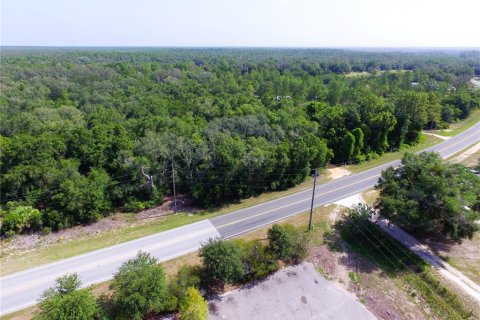 Terrain à vendre à Umatilla, Floride № 2239231 - photo 6