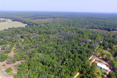Terrain à vendre à Umatilla, Floride № 2239231 - photo 5