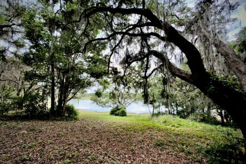 Land in Ocklawaha, Florida № 2166116 - photo 6