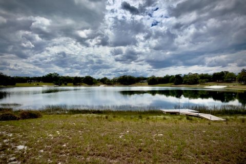 Land in Ocklawaha, Florida № 2166116 - photo 15