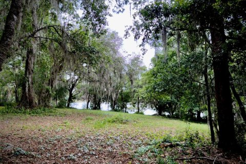 Land in Ocklawaha, Florida № 2166116 - photo 4