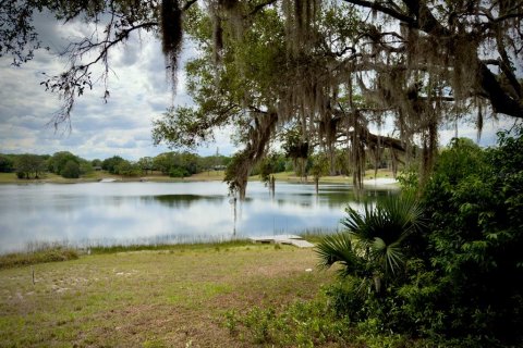 Land in Ocklawaha, Florida № 2166116 - photo 3
