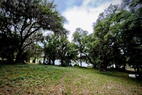 Land in Ocklawaha, Florida № 2166116 - photo 7