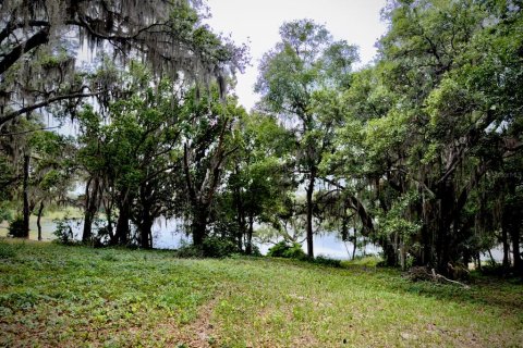 Land in Ocklawaha, Florida № 2166116 - photo 5