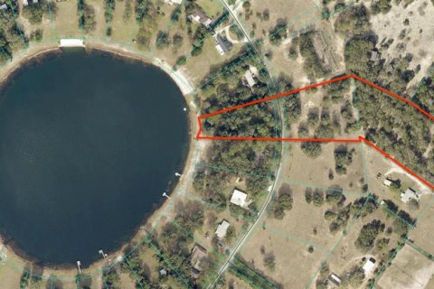 Land in Ocklawaha, Florida № 2166116 - photo 12
