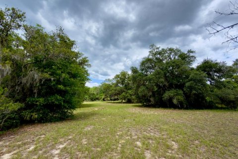 Land in Ocklawaha, Florida № 2166116 - photo 9