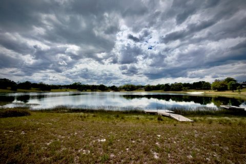 Land in Ocklawaha, Florida № 2166116 - photo 2