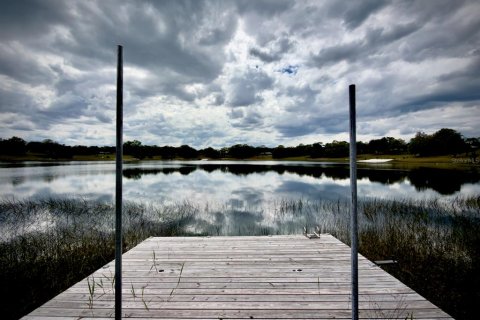 Land in Ocklawaha, Florida № 2166116