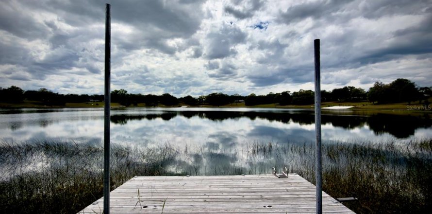 Land in Ocklawaha, Florida № 2166116
