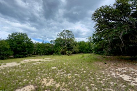 Land in Ocklawaha, Florida № 2166116 - photo 10