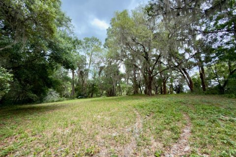 Land in Ocklawaha, Florida № 2166116 - photo 8