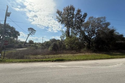 Terrain à Ocklawaha, Floride № 2236611