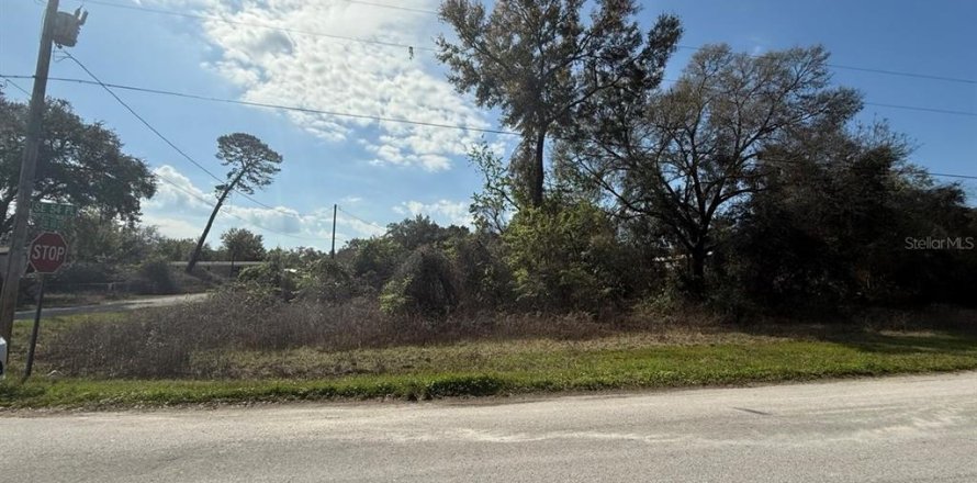 Terrain à Ocklawaha, Floride № 2236611