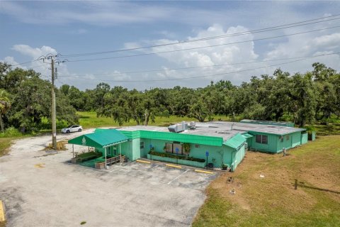 Immobilier commercial à vendre à Punta Gorda, Floride: 313.55 m2 № 2097968 - photo 5
