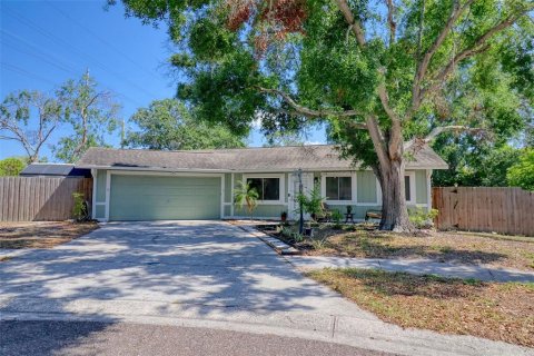 House in Tarpon Springs, Florida 3 bedrooms, 137.68 sq.m. № 1661938 - photo 1