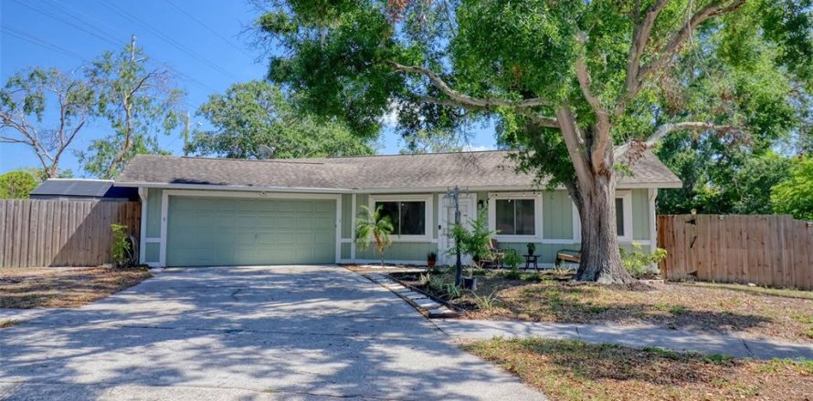 House in Tarpon Springs, Florida 3 bedrooms, 137.68 sq.m. № 1661938