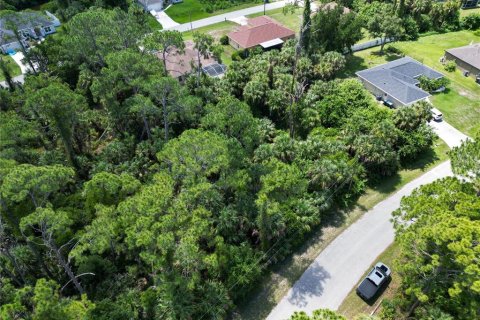 Land in North Port, Florida № 2161405 - photo 2