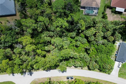 Land in North Port, Florida № 2161405 - photo 3