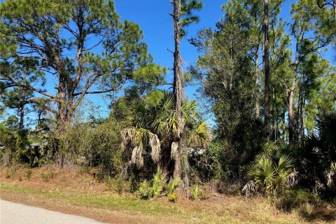Land in Punta Gorda, Florida № 2163872 - photo 7