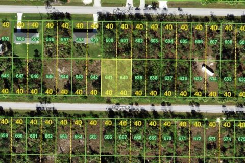 Land in Punta Gorda, Florida № 2163872