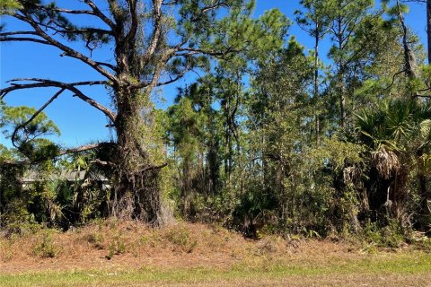 Land in Punta Gorda, Florida № 2163872 - photo 5