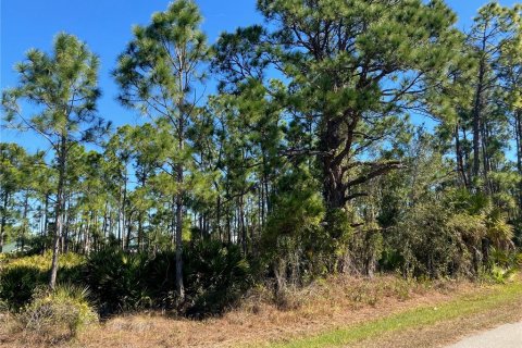 Land in Punta Gorda, Florida № 2163872 - photo 3