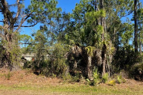 Land in Punta Gorda, Florida № 2163872 - photo 6