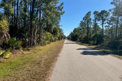 Land in Punta Gorda, Florida № 2163872 - photo 2