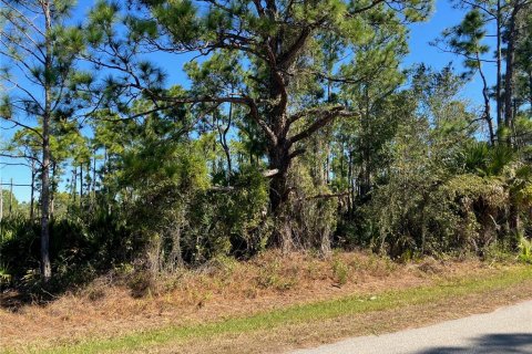 Land in Punta Gorda, Florida № 2163872 - photo 4