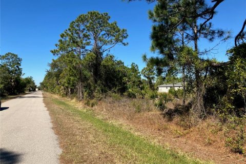 Land in Punta Gorda, Florida № 2163872 - photo 8
