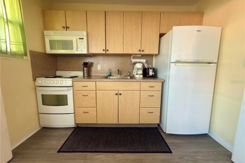 Copropriété à vendre à Saint Pete Beach, Floride: 1 chambre, 45.99 m2 № 2431682 - photo 10