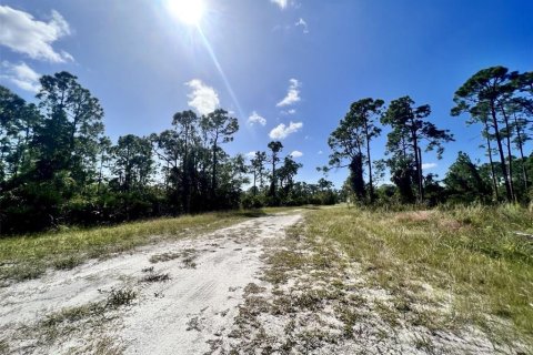 Land in Punta Gorda, Florida № 2160067 - photo 2