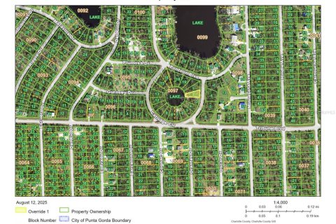 Land in Punta Gorda, Florida № 2160067 - photo 5