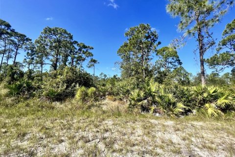 Land in Punta Gorda, Florida № 2160067