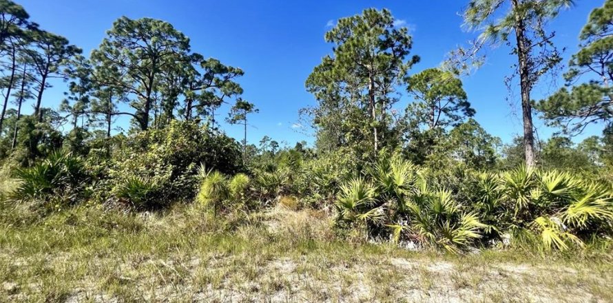 Land in Punta Gorda, Florida № 2160067