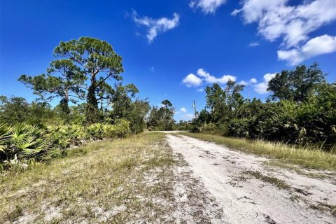 Land in Punta Gorda, Florida № 2160067 - photo 3