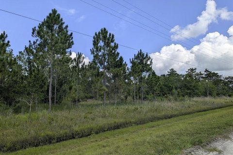 Land in Indian lake estates, Florida № 2161790 - photo 5