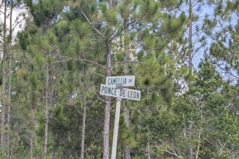 Land in Indian lake estates, Florida № 2161790