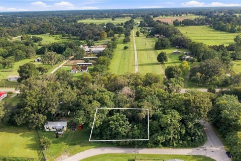 Land in Summerfield, Florida № 2329504