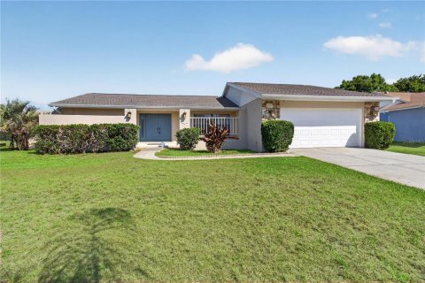 Villa ou maison à Land O' Lakes, Floride 3 chambres, 167.69 m2 № 2112020