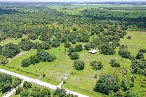 Terrain à vendre à Myakka City, Floride № 1279886 - photo 8