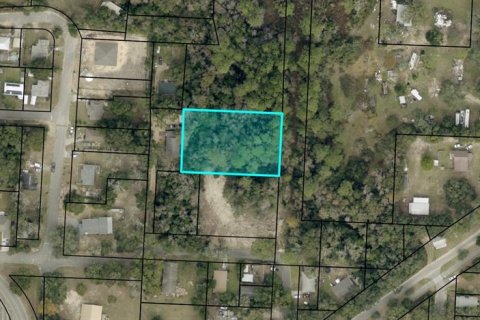 Land in Milton, Florida № 2160623 - photo 3