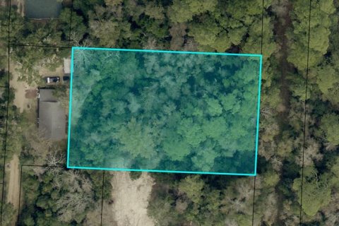 Land in Milton, Florida № 2160623