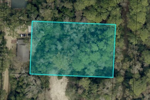 Land in Milton, Florida № 2160623 - photo 2