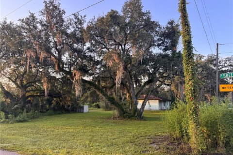 House in Inverness, Florida 2 bedrooms, 80.27 sq.m. № 1908127 - photo 15